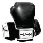 Gants de Boxe