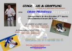 Programme Stage JJB Grappling