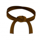 ceinture marron