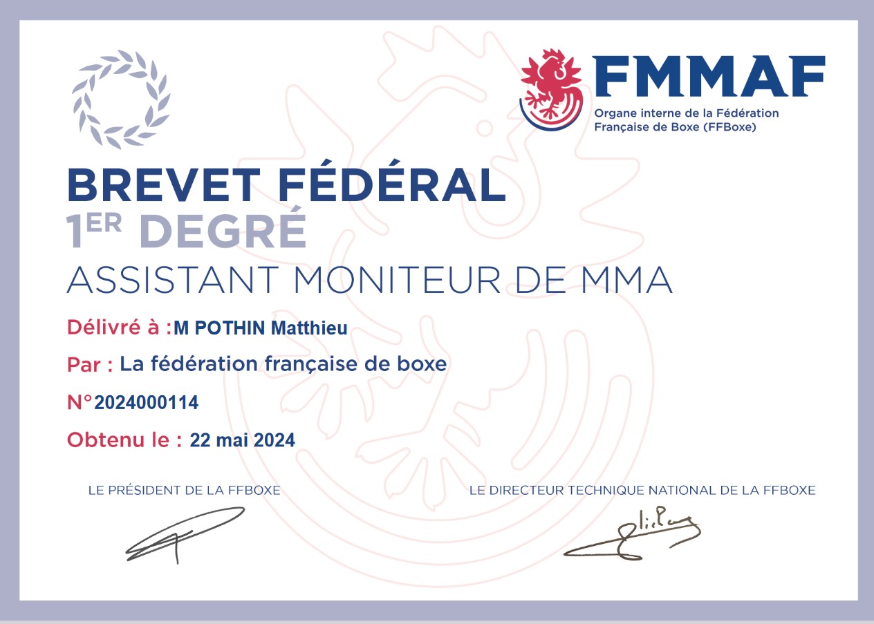 Initiateur en MMA Initiateur en MMA