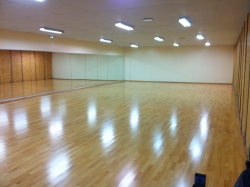 salle de danse - 160 mètres carrés de plancher sportif