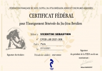 Certificat d'enseignement CFEJJB